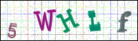 Image Verification